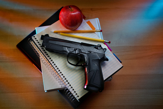 So far in 2022, there have been 558 mass shooting incidents in the United States, including two in Iowa, according to the Gun Violence Archive. They are categorized as 