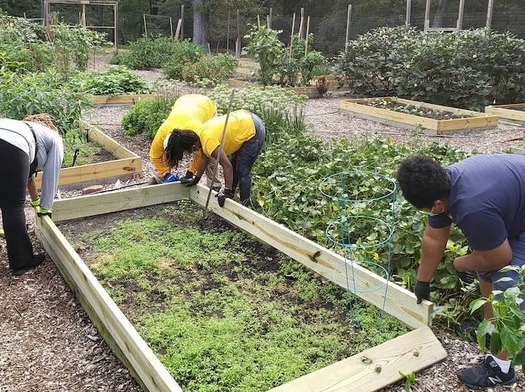 Michelle and Brielle Wright have seen firsthand the impact of climate change on their 11-acre farm in North Carolina. (The Farmer's B.A.G.)