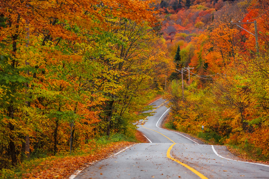 The Maine Office of Tourism says the state experienced a 29 percent increase in tourism-related visitation in 2021 over 2020, with an estimated 15.6 million visitors. (Adobe Stock) 