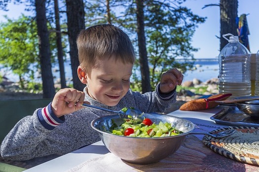 More than a quarter of Texans surveyed by the Episcopal Health Foundation about nonmedical health factors that affect well-being said they don't have access to affordable and healthy food. (LudaKot/Pixabay)