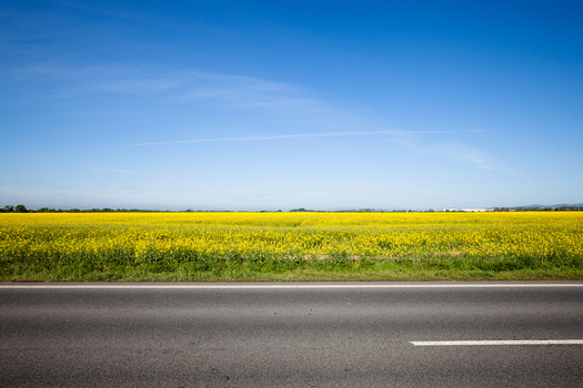 horizontal road landscape