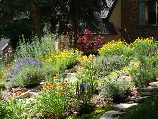 Officials in Scottsdale, Arizona say for every square foot of grass removed and replaced with native desert plants, the city saves 57 gallons of water. (Katy/Adobe Stock)