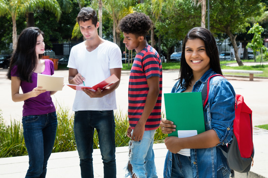 After the passage of Prop 209, the University of California-Los Angeles and the University of California-Berkeley saw the largest relative drop in the predicted probability of admissions of underrepresented minorities at University of California schools. (Daniel Ernst/Adobestock)