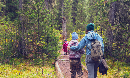A survey from this summer found 12% of Montana families 