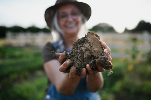 According to a report by One Earth, since the beginning of agriculture. 133 gigatons of carbon have been lost from soils. Regenerative agriculture is designed to keep that carbon in the soil. (Adobe Stock)