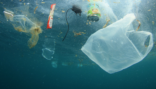A study found less than a tenth of plastic waste has been recycled. (Richard Carey/Adobe Stock)