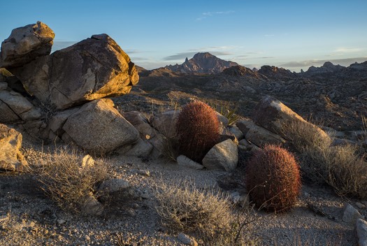 Advocates say the creation of a new national monument at Spirit Mountain would be a boon to the outdoor economy in Southern Nevada. (Kirk Peterson)