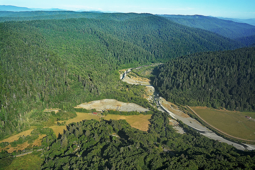 The site of the old Orick Mill has been a top priority for conservation groups because it is a scar on the landscape in California's old-growth redwood forest. (Save the Redwoods League)