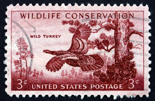 Current funding for the State Wildlife Grants Program is $65 million per year. (Adobe Stock)