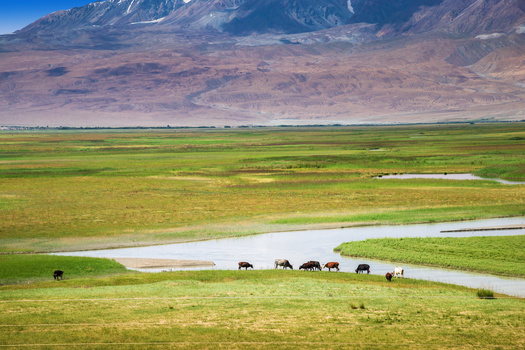 Approximately 60% of land in Colorado is privately owned. (Adobe Stock)