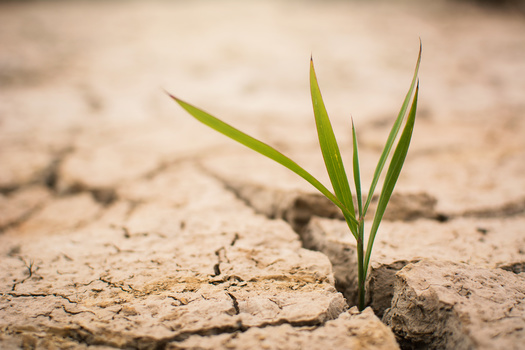 Officials at the state's Department of Natural Resources say last year's drought in Minnesota was likely the worst one seen since 1988. (Adobe Stock)