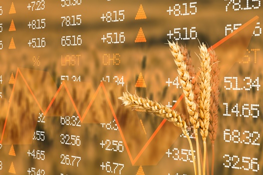 According to the U.S. Department of Agriculture, some of the largest recent price increases in farm real estate have been in Oklahoma and Texas, where prices grew by 11.4% and 11.3%, respectively. (Adobe Stock)