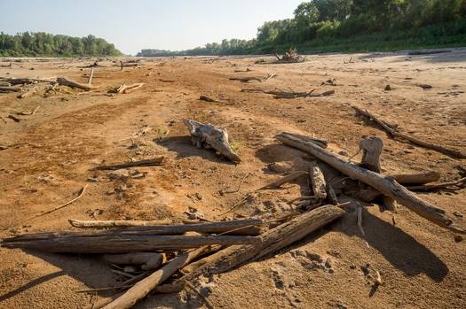 Climate driven-drought has left only driftwood and sand in the channel where the Mississippi and Missouri rivers converge. (Rob Shepard-Danita Delmont/Adobe Stock)