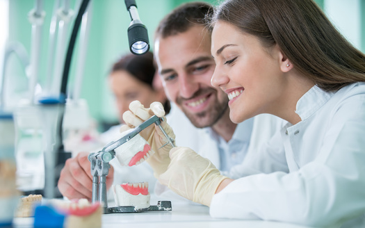 Dental therapists master about one-quarter of the specific competencies of dentists. (Adobe Stock)