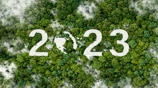 As part of the Virginia Clean Economy Act, Dominion Energy must generate all electricity from carbon free sources by 2045. (Adobe Stock)