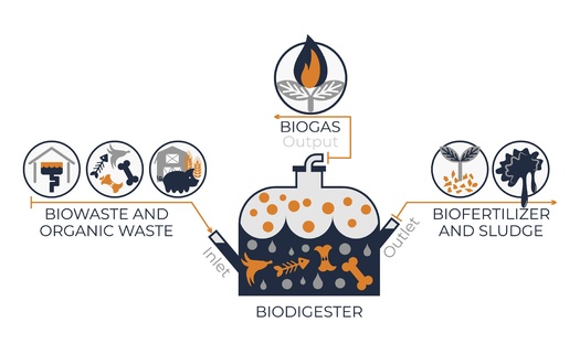 According to the Environmental Protection Agency, manure-based anaerobic digestion generated the equivalent of 1.76 million megawatt hours of electricity in 2021. During the same year, it also helped avoid 6.09 million metric tons of carbon dioxide equivalents in greenhouse gases. (Adobe Stock)