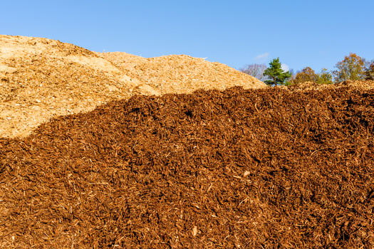In past years, riders attached to federal budgets have provided incentives for woody biomass. But, as the nation moves to a more climate-friendly future, woody biomass is being re-evaluated for its climate friendliness. (Adobe Stock)