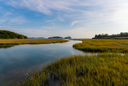 Of 53 bay segments monitored, 57% received grades of C, D or F because of high pollution levels, according to the 2022 Save the Sound Report Card. (Adobe Stock)
