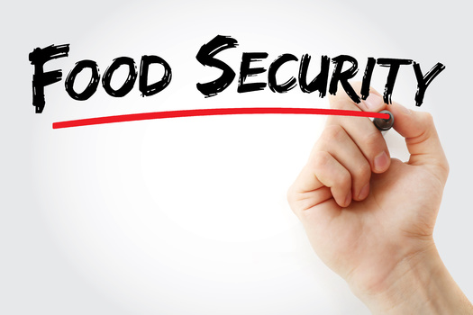 In September 2022, SNAP benefits helped 156,000 Nebraskans with food security, up 1% from a year prior. (Adobe Stock)