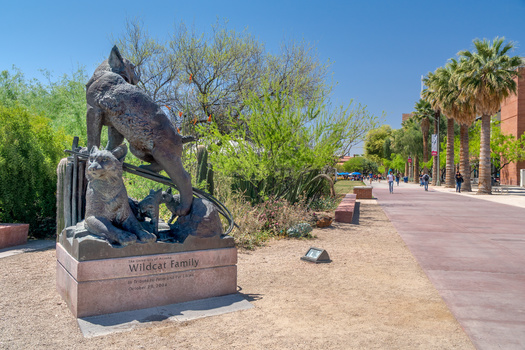 According to University of Arizona data, 43% of workers at the university make less than $25 an hour. (Adobe Stock) 