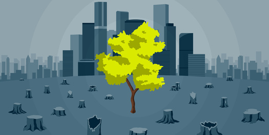 According to the New York State Department of Environmental Conservation, deforestation makes up 12 to 20% of global greenhouse gas emissions. (Adobe Stock)