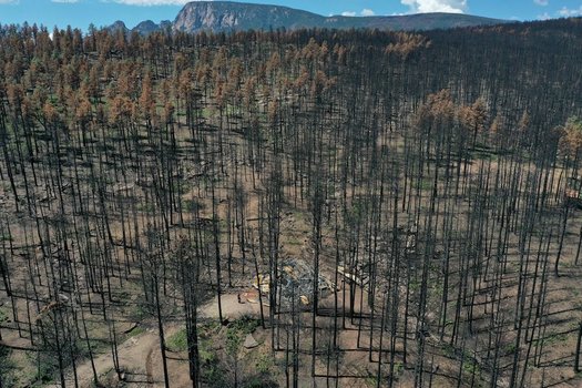 The Calf Canyon/Hermits Peak Fire burned through a number of rural, isolated Hispanic communities, settlements, and family homesteads dating back centuries. (nmfwri.org)