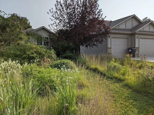 A residential grass-to-prairie lawn conversion is shown in Lincoln, Neb., by Monarch Gardens. (Photo courtesy of Benjamin Vogt)