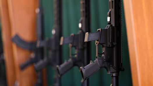 Illinois Legislature Approves Controversial Ban on Assault Weapons / Public  News Service