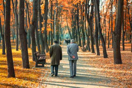 In addition to an aging population, 11% of Mainers have serious mobility impairments requiring targeted and inclusive long-term planning to ensure accessibility to public spaces across the state. (Adobe Stock)