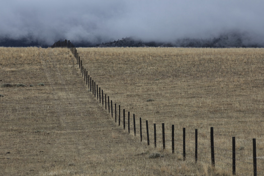 Lowering top wires on fencing to 40 inches or lower decreases the chances of animals becoming entangled as they jump over. (F&J McGinn/Adobe Stock)