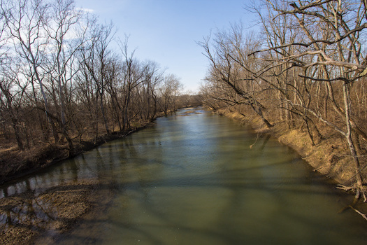 Forty-one species of freshwater mollusk live in Darby Creek waters, eight of which are on the Ohio endangered list, according to the Ohio Department of Natural Resources. (Adobe Stock)