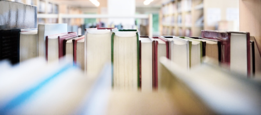 Last fall, the American Library Association said the number of attempts to ban or restrict library resources in schools, universities and public libraries was on track to exceed record counts from 2021. (Adobe Stock)