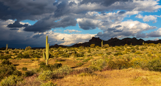 According to Arizona's state climatologist, the last two monsoon seasons and triple-dip La Niña winters are all playing a role in the long-term drought improvements. (Adobe Stock)