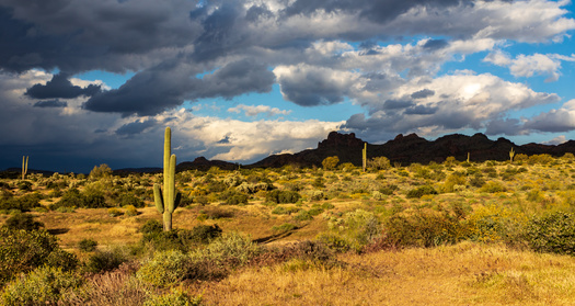 According to Arizona's state climatologist, the last two monsoon seasons and triple-dip La Nia winters are all playing a role in the long-term drought improvements. (Adobe Stock)