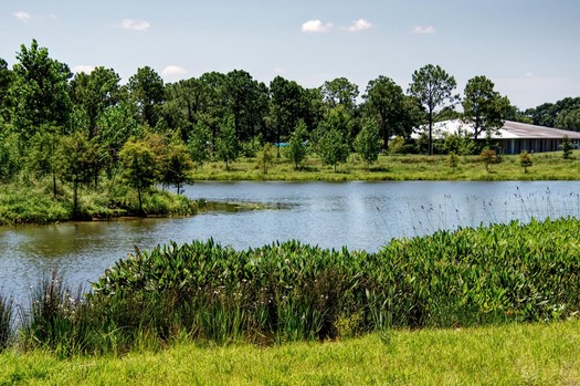 Federal agencies such as FEMA, the Army Corps of Engineers, and the EPA now offer guides on how communities can incorporate nature-based, green solutions. (clcwa.org)