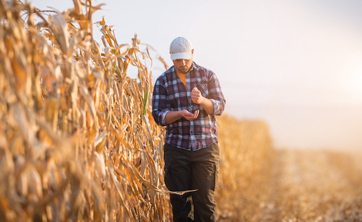 The 2018-2023 Farm Bill is projected to cost around $428 billion, according to the estimates from the Congressional Budget Office. (Adobe Stock)