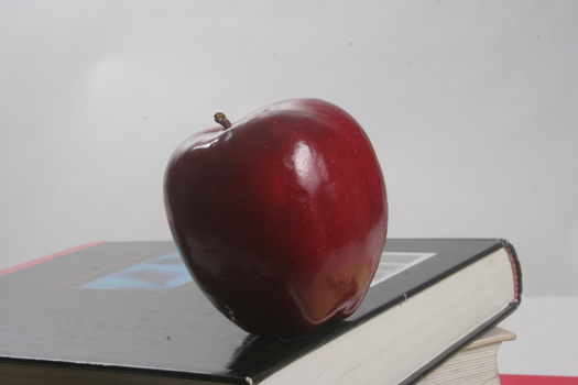 Hunger-fighting groups say one in six Minnesota school children lives in a household experiencing food insecurity. (Adobe Stock)