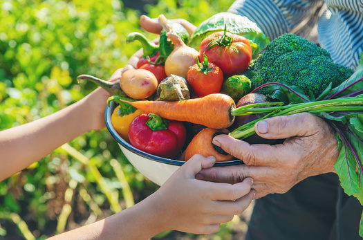 While the USDA recommends a diet of 50% fruits and vegetables, only 4% of farm subsidies support their production. (Adobe Stock)