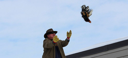An organizer tosses a chicken at an annual Wisconsin event that has drawn sharp criticism from animal rights advocates. (Photo courtesy United Poultry Concerns)