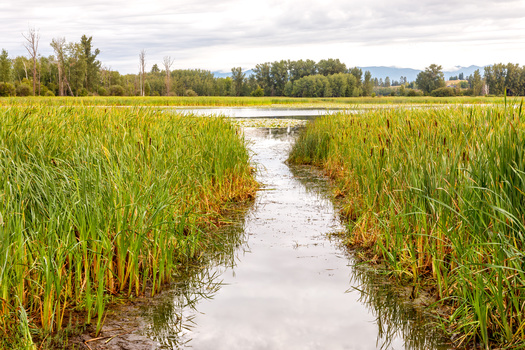 Many streams in Montana are seasonal, which can make them difficult to protect. (Robert Paulus/Adobe Stock)