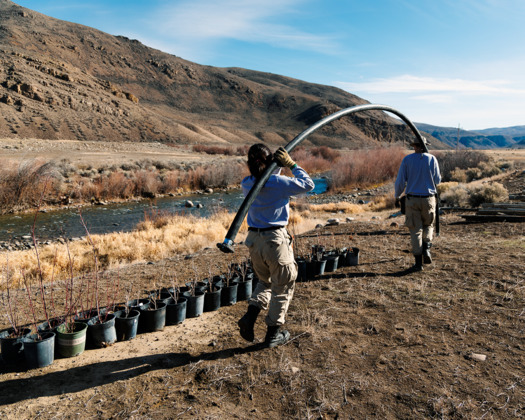 The USCAP funded a riparian revegetation project along the East Fork of the Salmon River at White Clouds Preserve. (Idaho Conservation League)