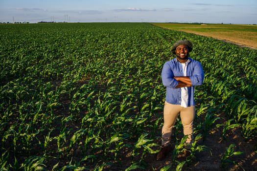 Black farmers made up 14% of U.S. farmers in 1920, but having been denied equal access to land, financing and other resources, that number dwindled to 1.4% in 2017, according to the U.S. Census of Agriculture. (Adobe Stock)