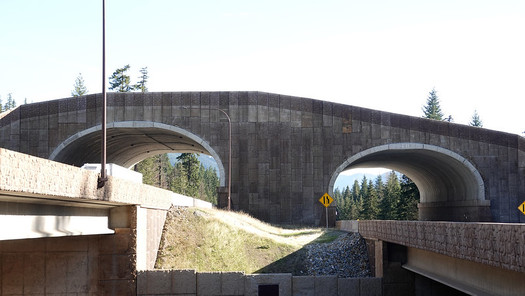 The wildlife crossings over I-90 are considered crucial for creatures in the Cascades. (Washington State DOT/Flickr)