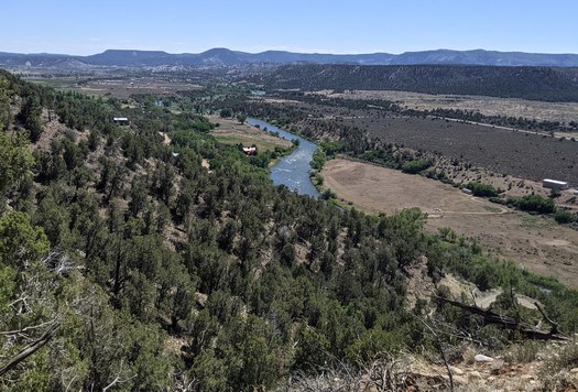 A new conservation easement overlooking the Animas River protects natural habitat for wildlife ranging from swift fox, bear and mountain lion to elk and deer. (Linda Lidov)