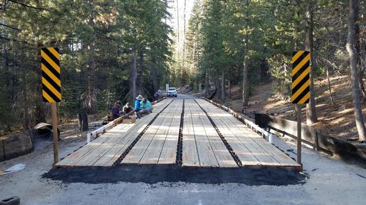An elevated segment of road in the Sierra National Forest provides an underpass for toads to cross from one part of the habitat to the other unharmed. (Stephanie Barnes/U.S. Forest Service)