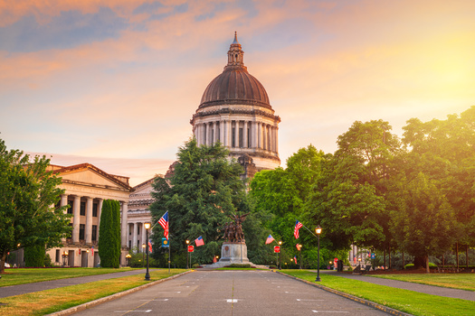 Bills, such as one that would introduce ranked choice voting, must be voted out of their committee of origin by Friday to advance in this session in Olympia. (SeanPavonePhoto/Adobe Stock)