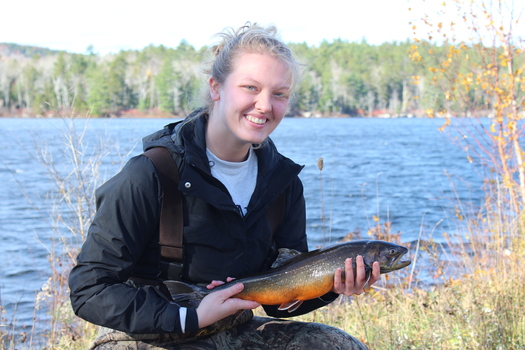 University of Maine graduate Emily Miller holds a female Arctic charr from the Floods Pond field site in Otis, Maine, where she and other scientists will measure, genetically sample and tag the long-lived species with a microchip ID. (Bradley Erdman)
