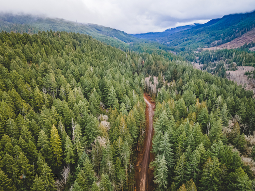 Leaders from Port Angeles, Washington, asked the state to stop logging in a forest near the Elwha River known as Aldwell. (forest2sea.com)