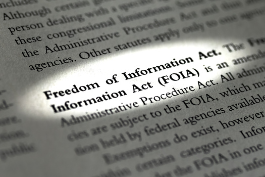 A report by the Virginia Coalition for Open Government finds some reasons state agency websites weren't in compliance with Virginia's Freedom of Information Law is they didn't say what kind of records they maintained, didn't say what records the agency withholds, and there was no link to FOIA on the agency's homepage. (Adobe Stock)