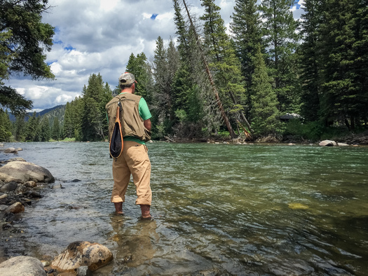 The Gallatin River in southwest Montana is a tributary of the Missouri River. (melissadoar/Adobe Stock)